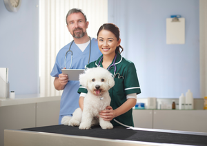 What a Veterinary Team Wants (LVS)