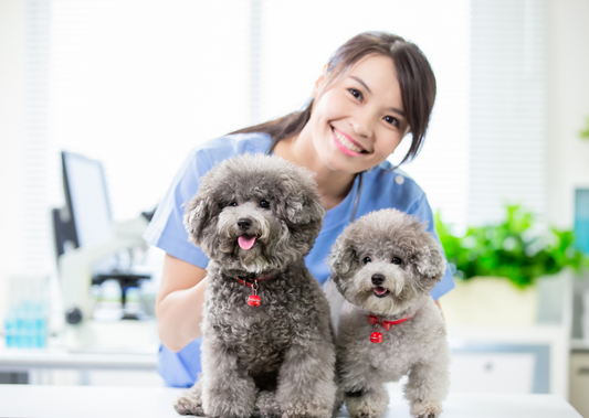 Finding joy in first opinion practice