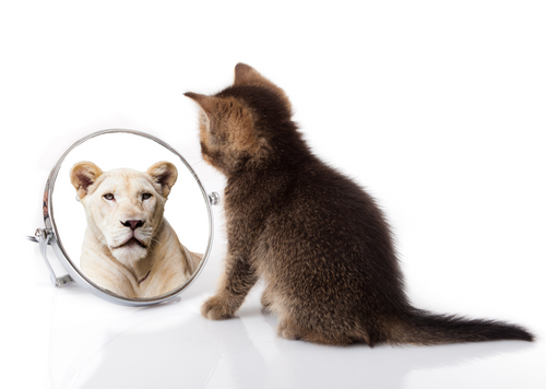 21st century veterinary leadership: achieving positive outcomes for all