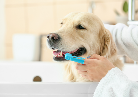 Top Tips for easier extractions