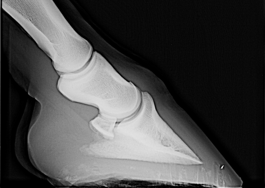 Non conventional radiographic views