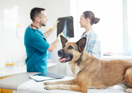 Consultation strategies in dermatology: communication, communication and more communication!