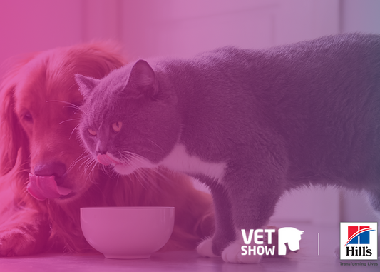 The Nutritional Minefield - pet food decisions, trends & misinformation