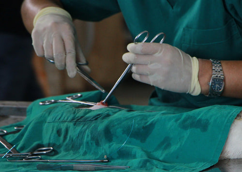 Tout cousu: est-ce que je choisis la bonne suture pour ma procédure?