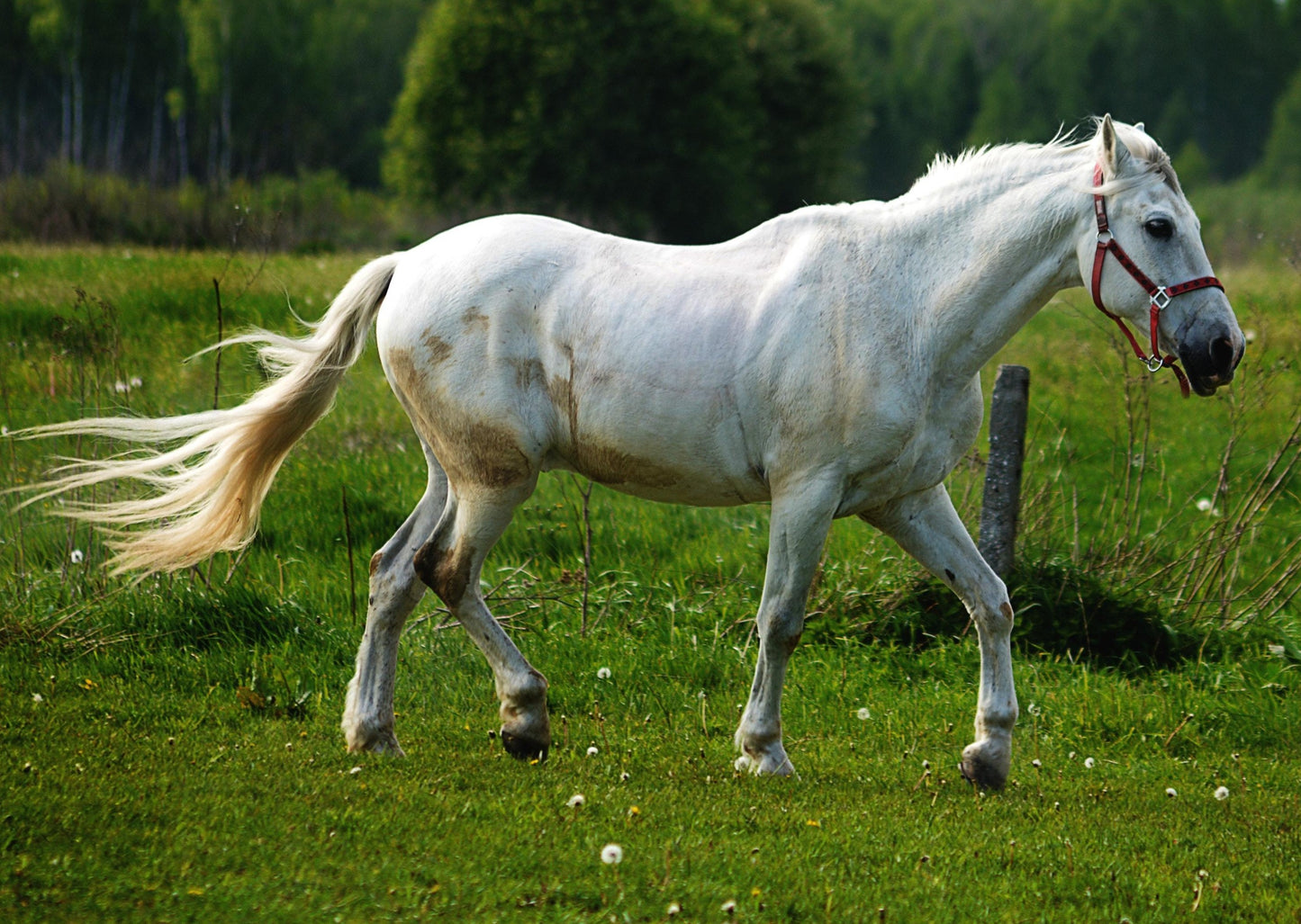 Getting the Right Diagnosis in Upper Respiratory Tract Noise