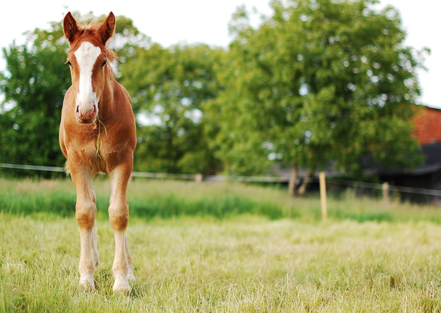 Not Always Asthma - Unusual Respiratory Cases