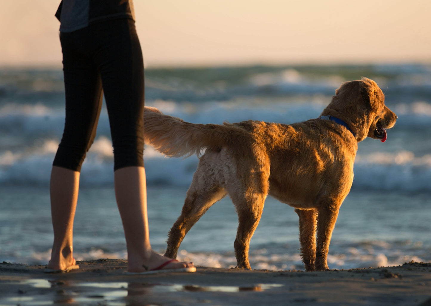 Rehabilitate Your Protocols: Rehab Tips for the General Practice