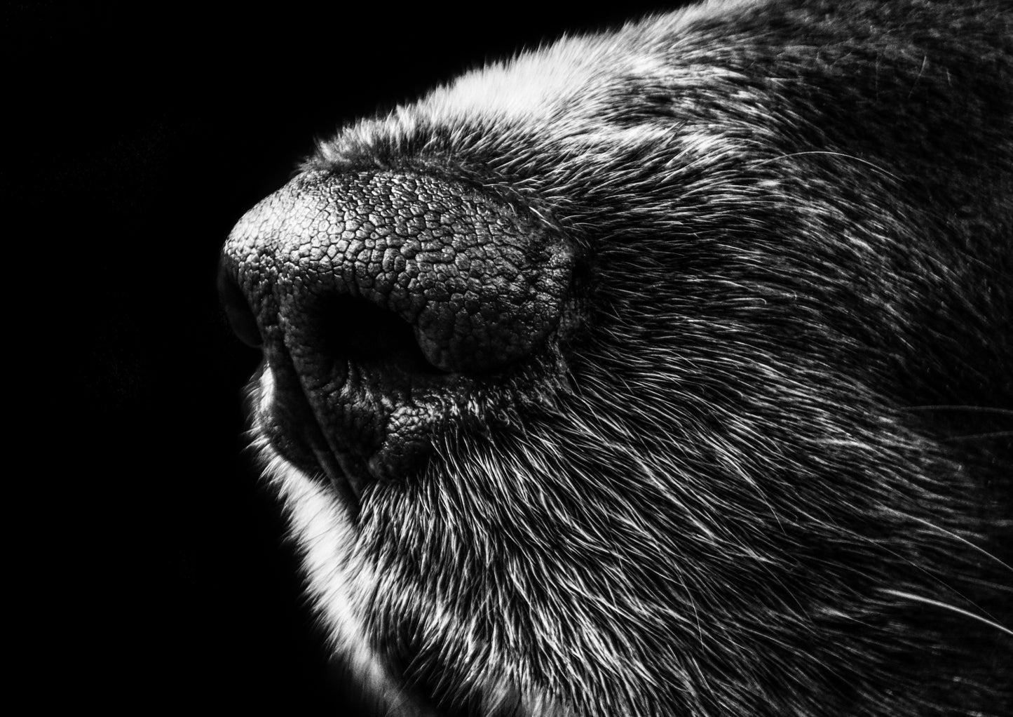 Top Tumors Treated with Radiation