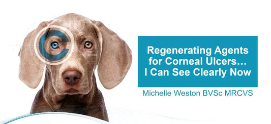 Regenerating Agents for Corneal Ulcers - I Can See Clearly Now
