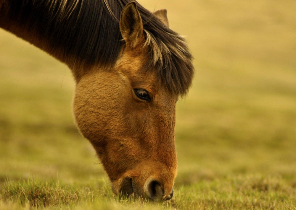 Approches originales au cas inhabituel : discussions de cas interactives
