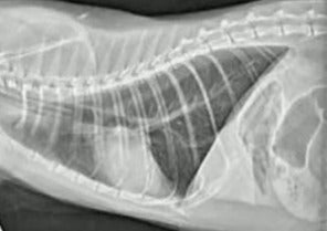 Diagnostic Imaging Challenges - Common Pitfalls and How to Avoid Them