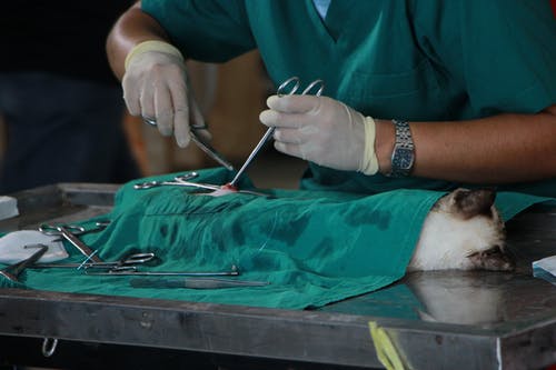 Maîtrise du Risque Infectieux en Chirurgie