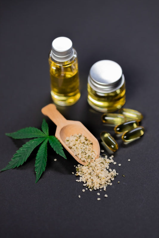 CBD in der Veterinärmedizin - was steckt wirklich dahinter?