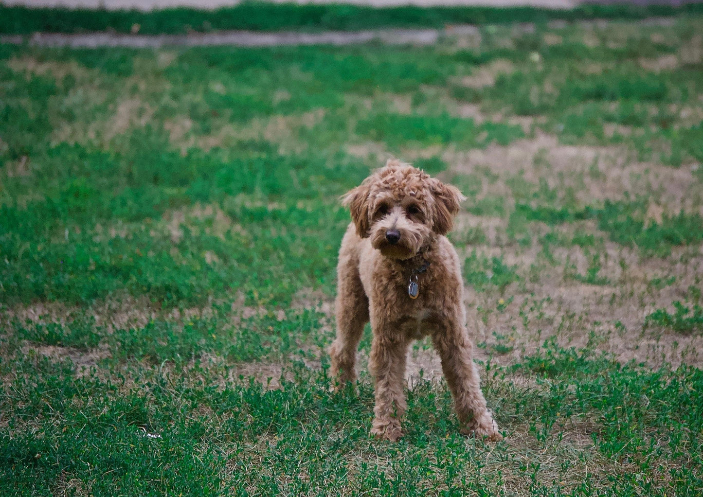 Top 5 des procédures d'urgence que vous pouvez utiliser en médecine générale