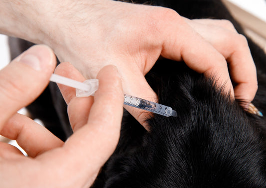 Your Essential Guide to Insulin: So Many Choices, Which do I Choose?