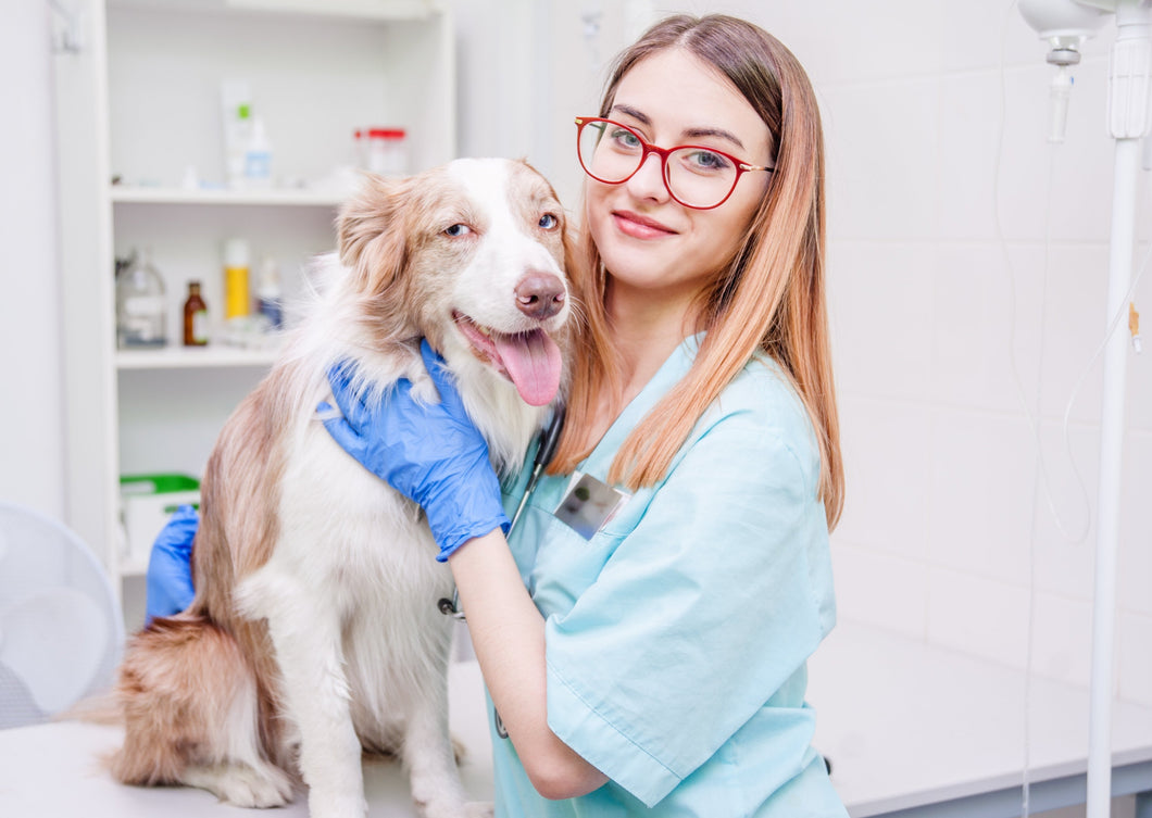 Tue Gutes und rede darüber – Ein ABC des modernen Tierarztmarketings